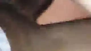 حزم على مثليه مطعم صديق