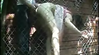 ٨ جنس بكاميرا خفية: شرموطة منعزلة تتعرض لنيك عنيف